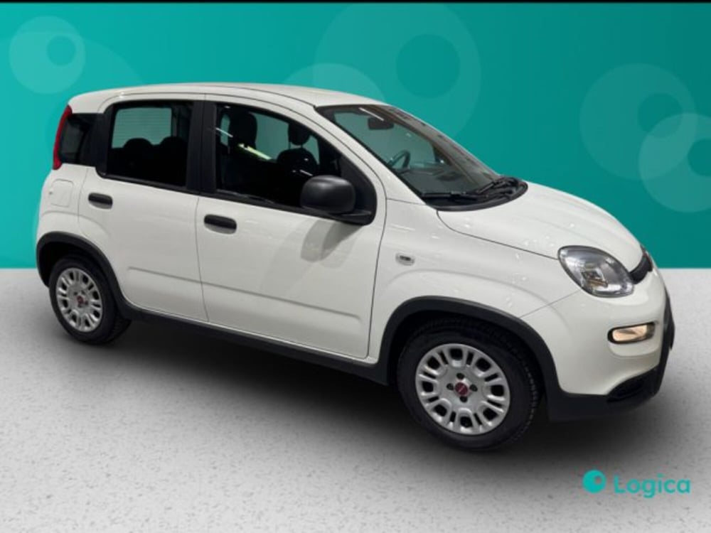 Fiat Panda usata a Biella (7)