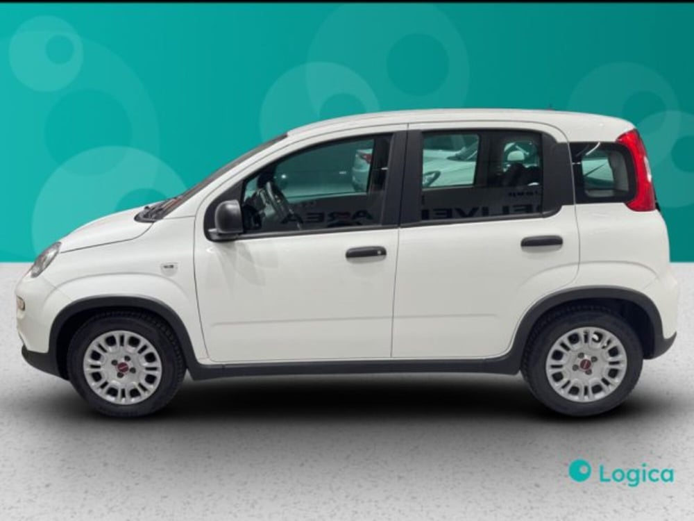 Fiat Panda usata a Biella (8)