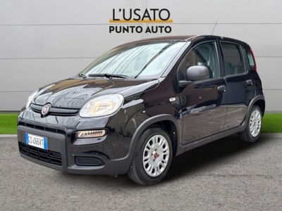 Fiat Panda 1.0 firefly hybrid s&amp;s 70cv 5p.ti del 2024 usata a Ancona