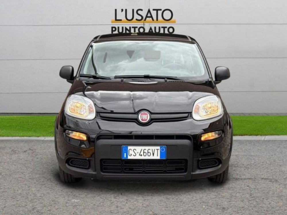 Fiat Panda usata a Ancona (2)