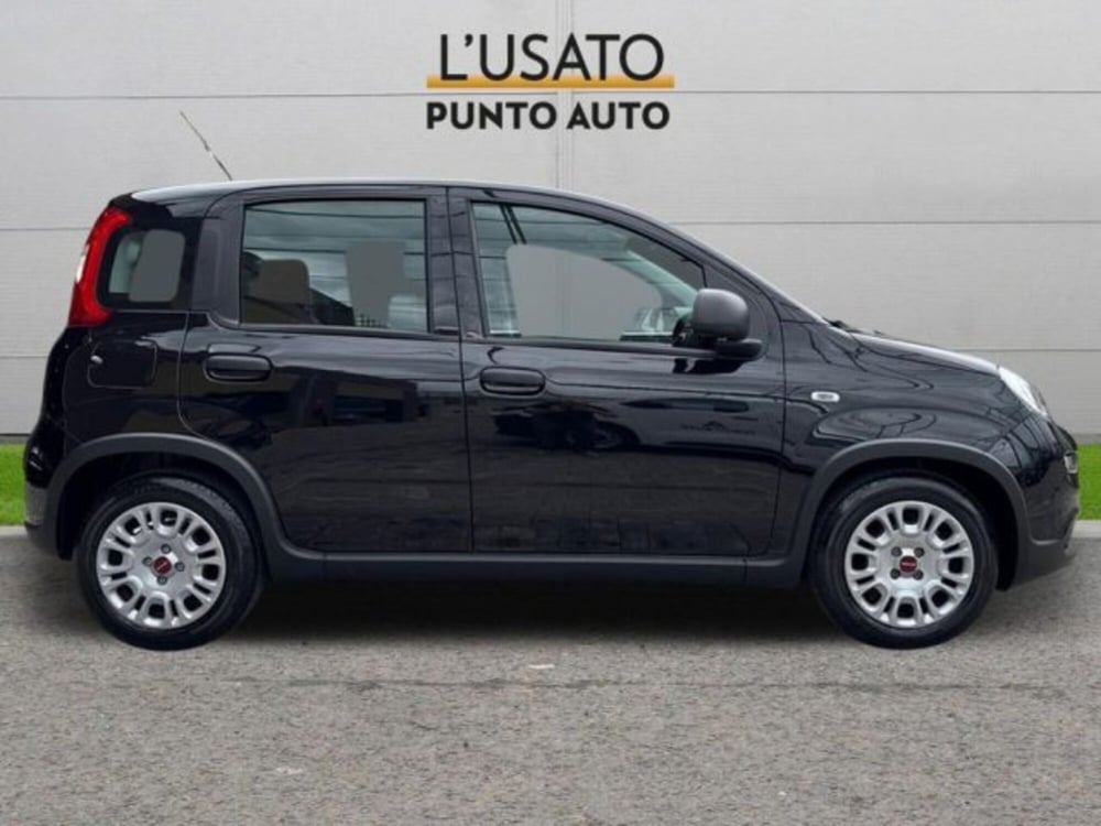 Fiat Panda usata a Ancona (3)