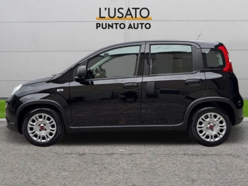Fiat Panda usata a Ancona (4)