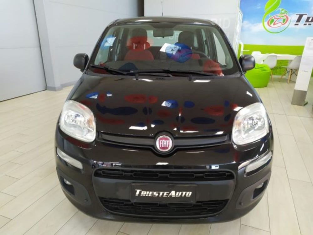 Fiat Panda usata a Trieste (2)