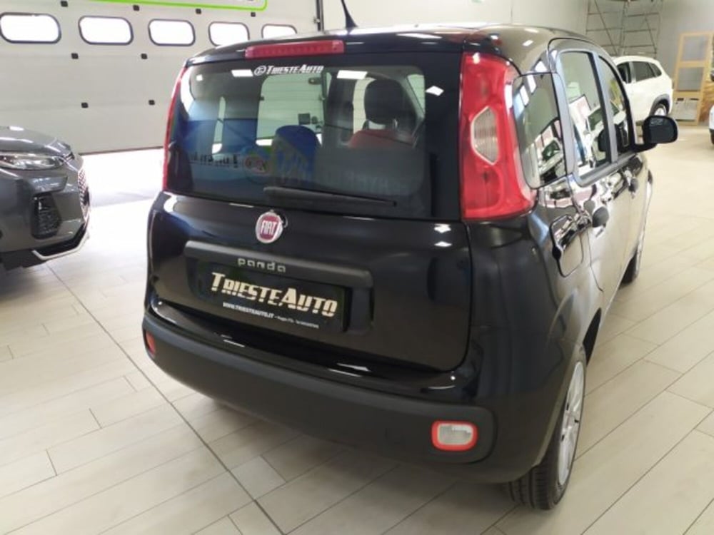 Fiat Panda usata a Trieste (4)
