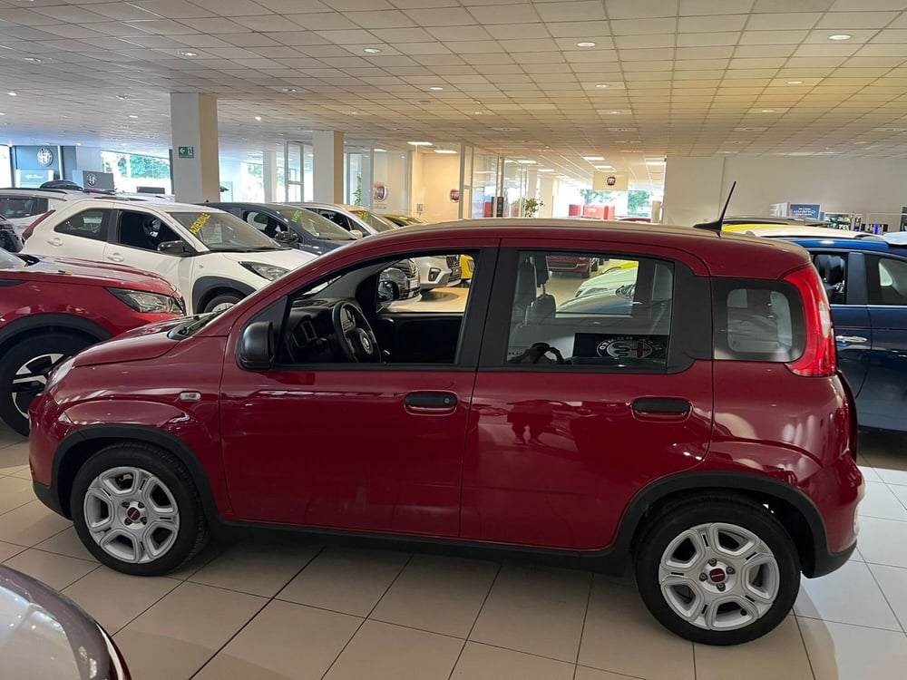Fiat Panda Cross usata a Milano (4)