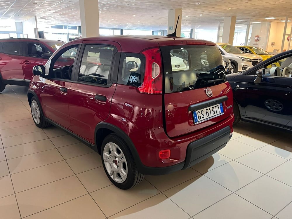 Fiat Panda Cross usata a Milano (6)