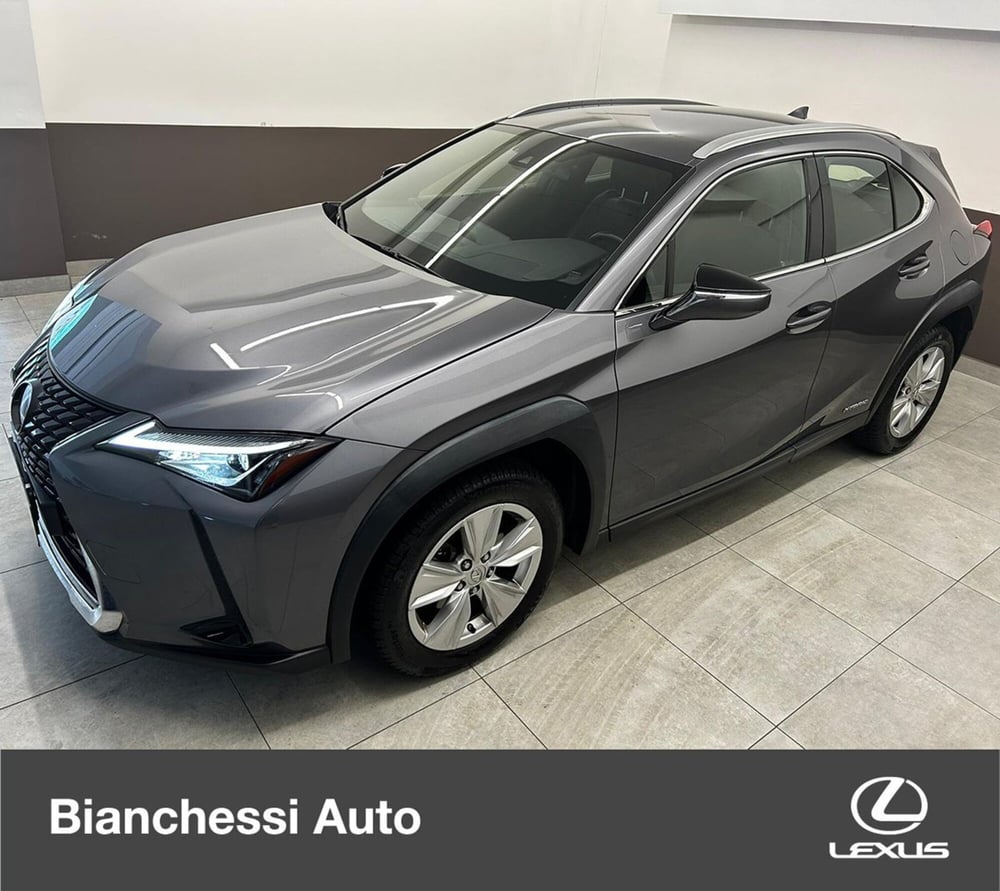 Lexus UX usata a Cremona (2)