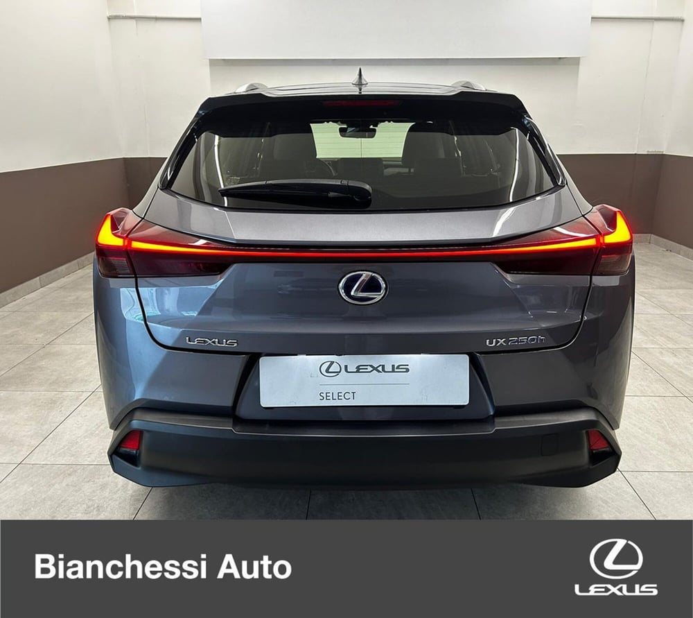 Lexus UX usata a Cremona (6)