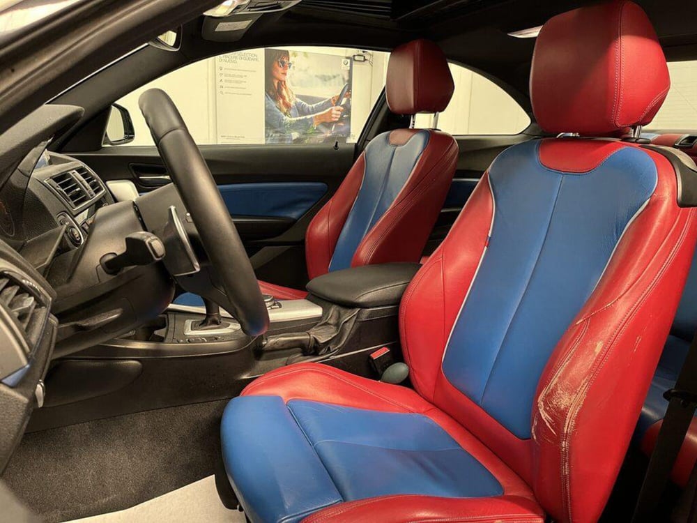 BMW Serie 2 Coupé usata a Alessandria (11)