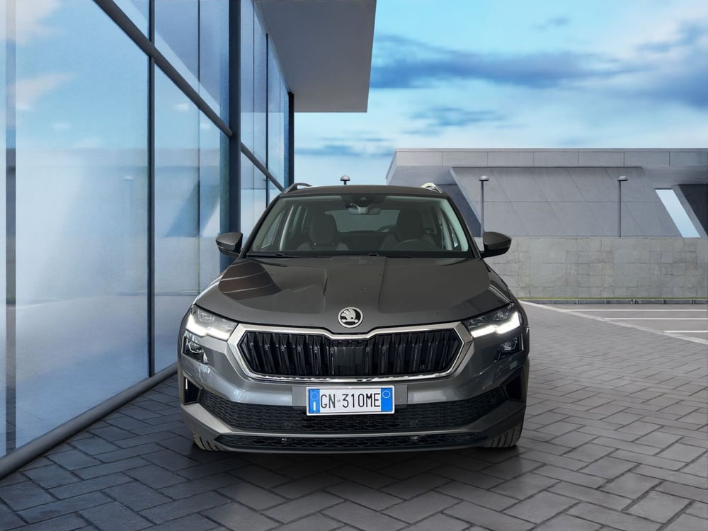 Skoda Karoq usata a Cosenza (2)