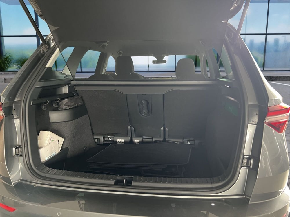 Skoda Karoq usata a Cosenza (20)
