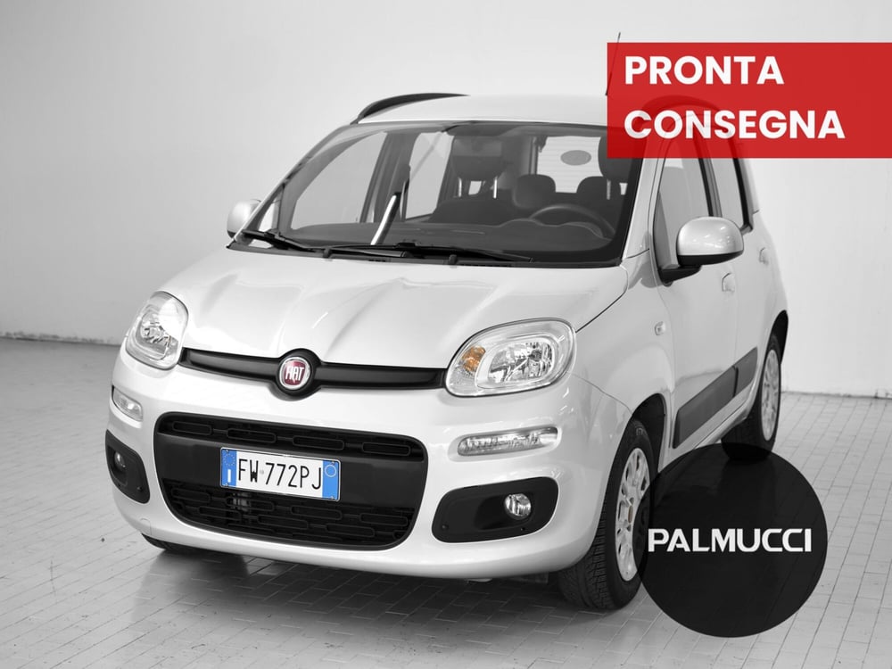 Fiat Panda usata a Prato