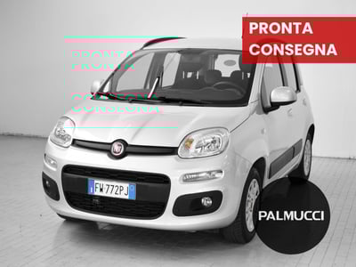 Fiat Panda 1.2 Lounge del 2019 usata a Prato