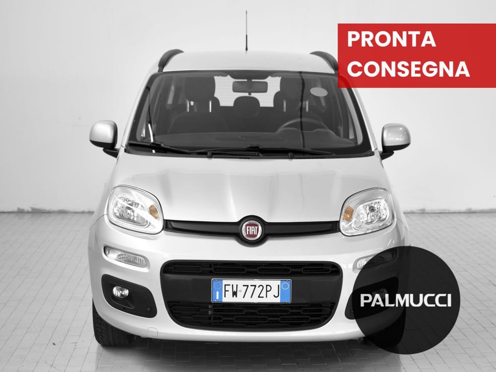Fiat Panda usata a Prato (2)