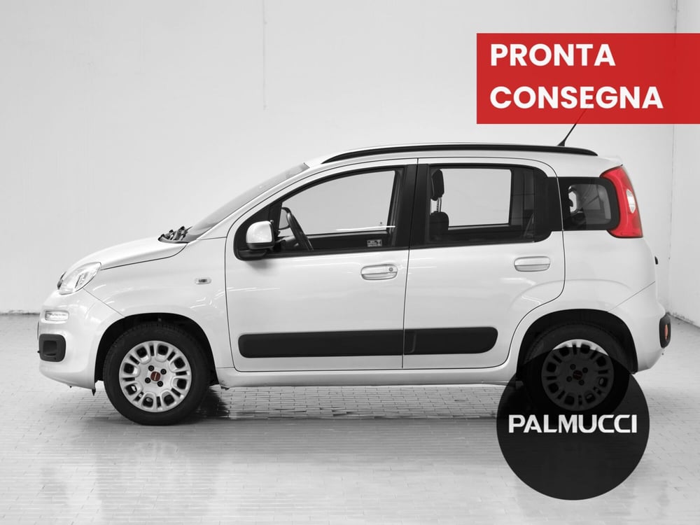 Fiat Panda usata a Prato (3)