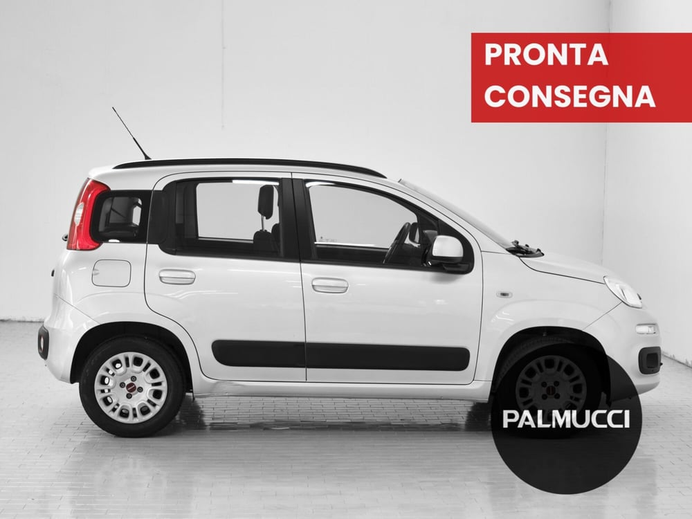 Fiat Panda usata a Prato (4)