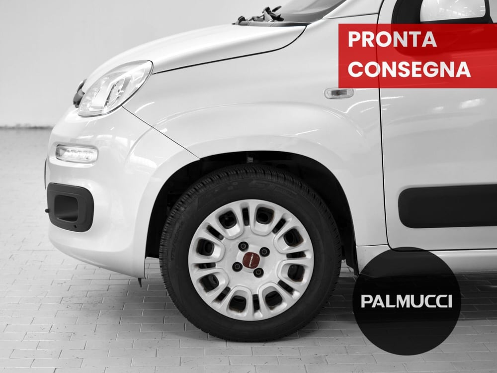Fiat Panda usata a Prato (6)