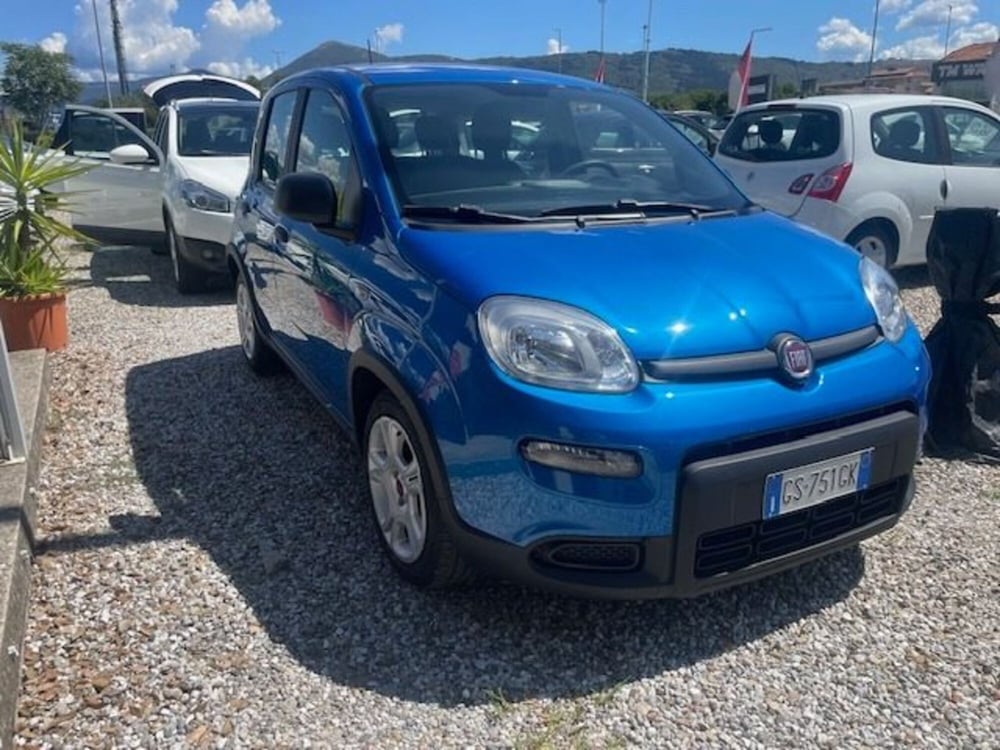 Fiat Panda usata a Prato (3)