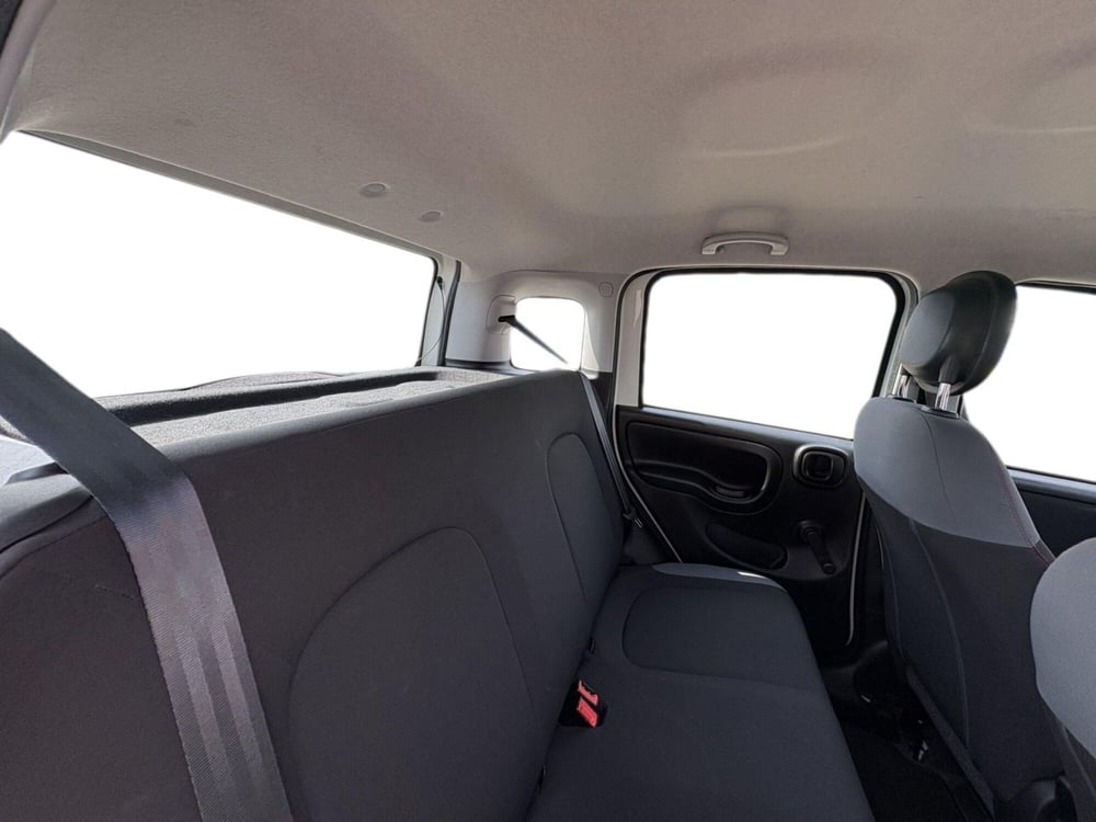 Fiat Panda Cross usata a Monza e Brianza (15)