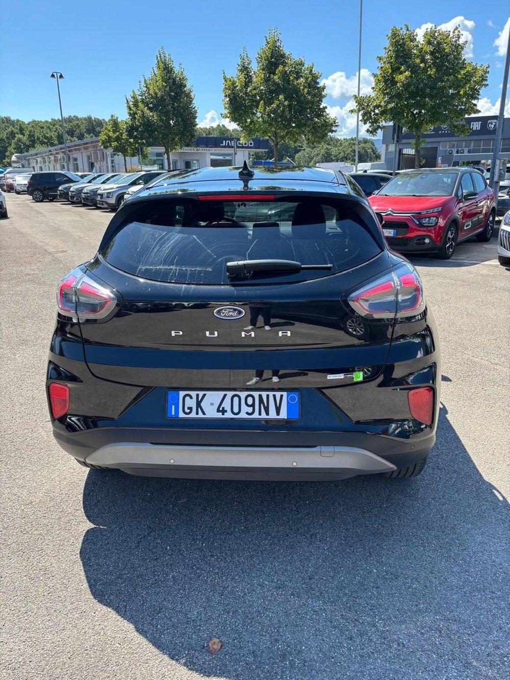 Ford Puma usata a Frosinone (6)