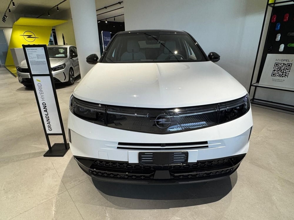 Opel Grandland nuova a Frosinone