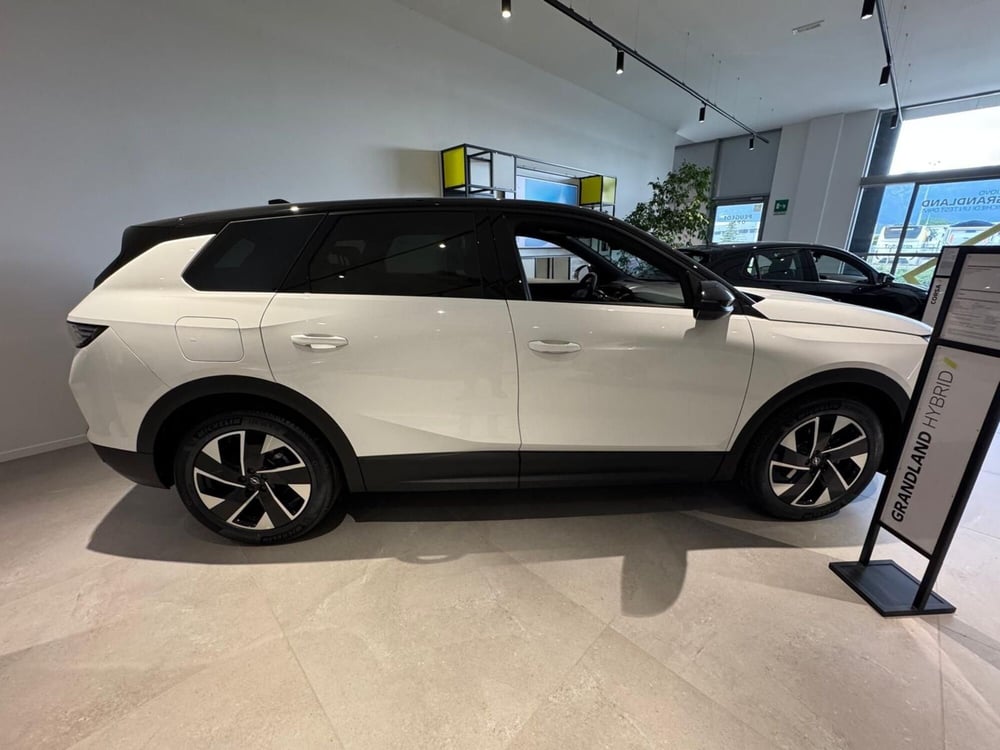 Opel Grandland nuova a Frosinone (5)