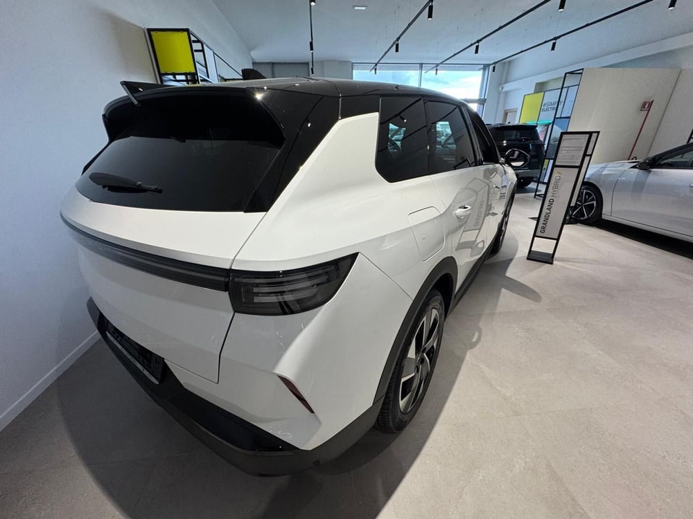 Opel Grandland nuova a Frosinone (6)