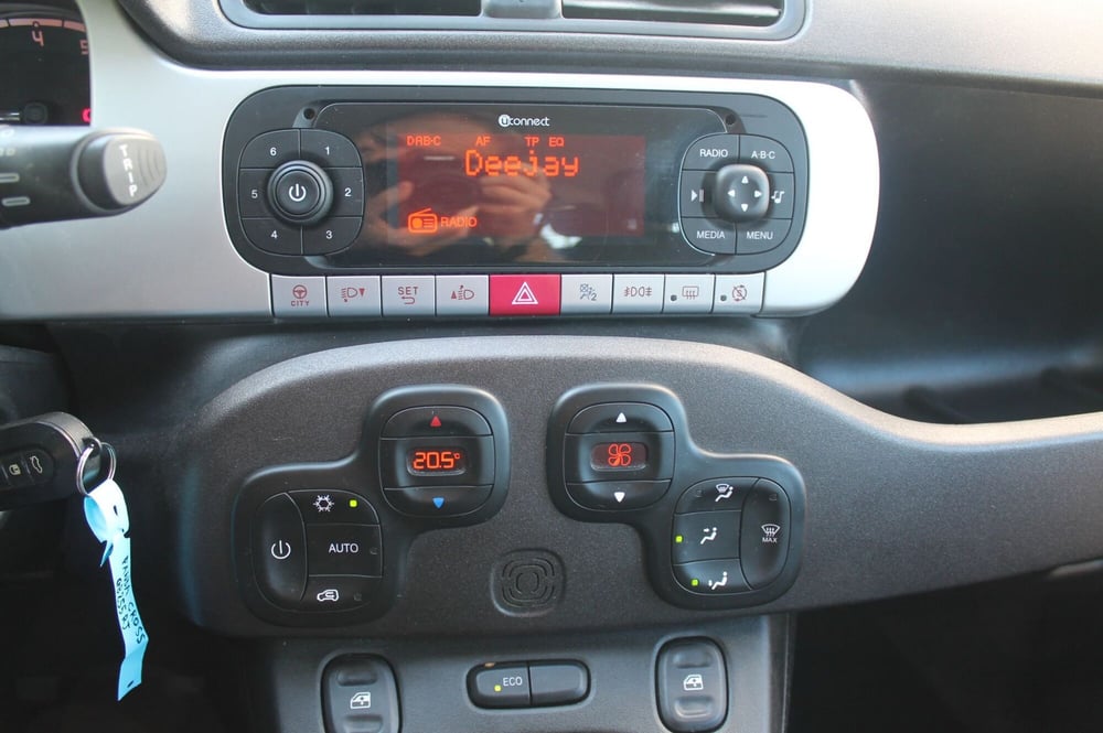 Fiat Panda Cross usata a Cuneo (13)