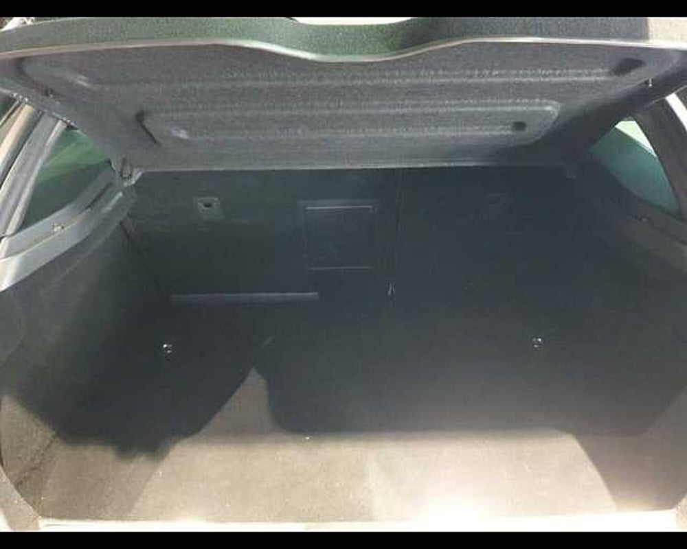 Ds DS 5 usata a Cuneo (17)
