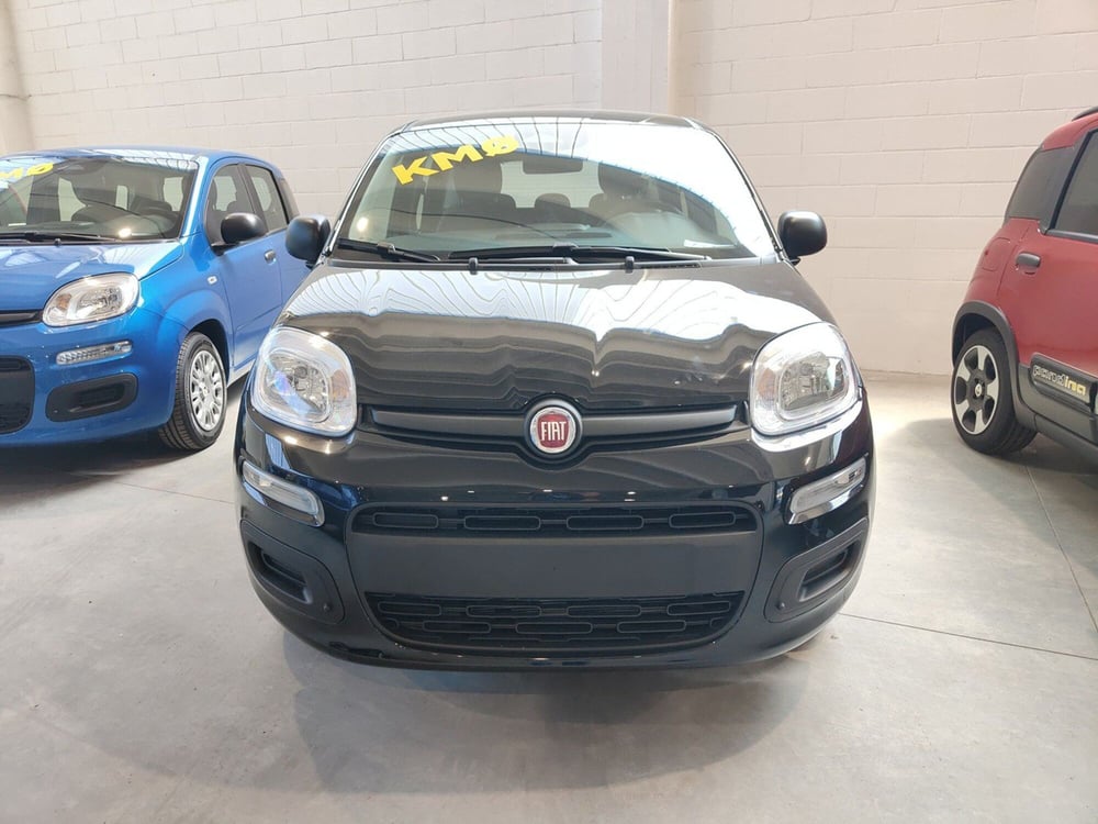 Fiat Panda Cross nuova a Torino (2)