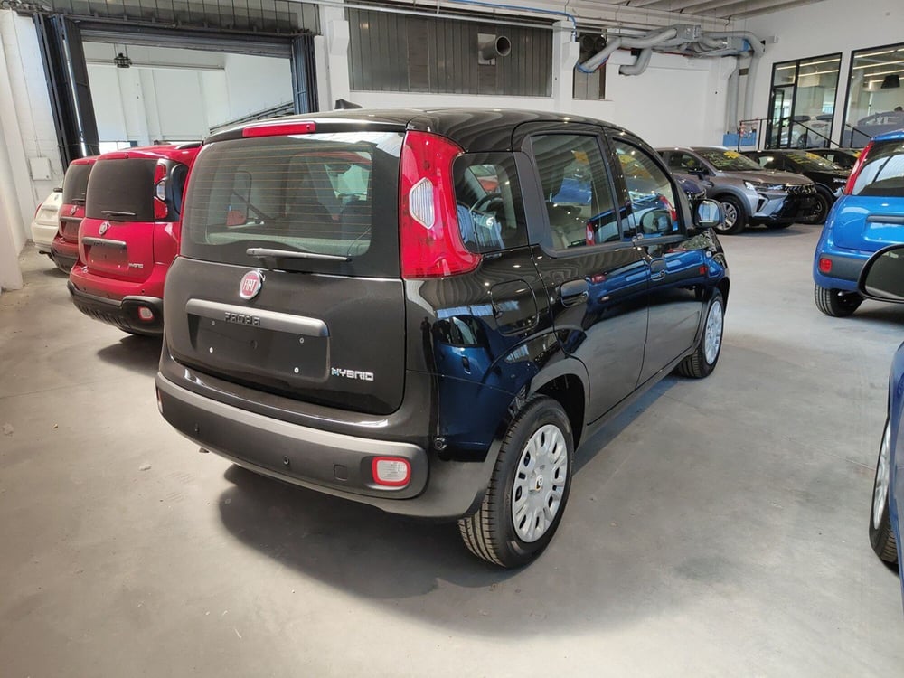 Fiat Panda Cross nuova a Torino (4)