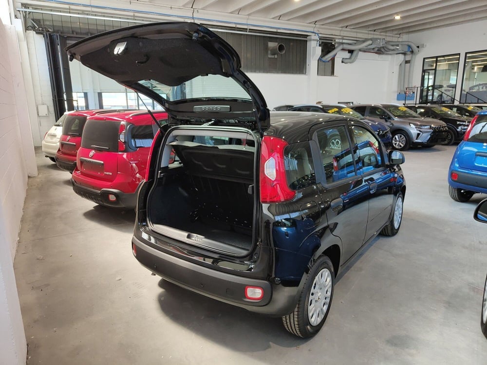 Fiat Panda Cross nuova a Torino (8)