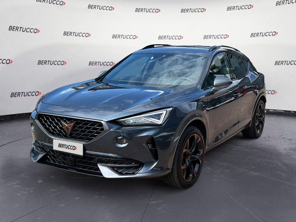 Cupra Formentor usata a Verona (3)