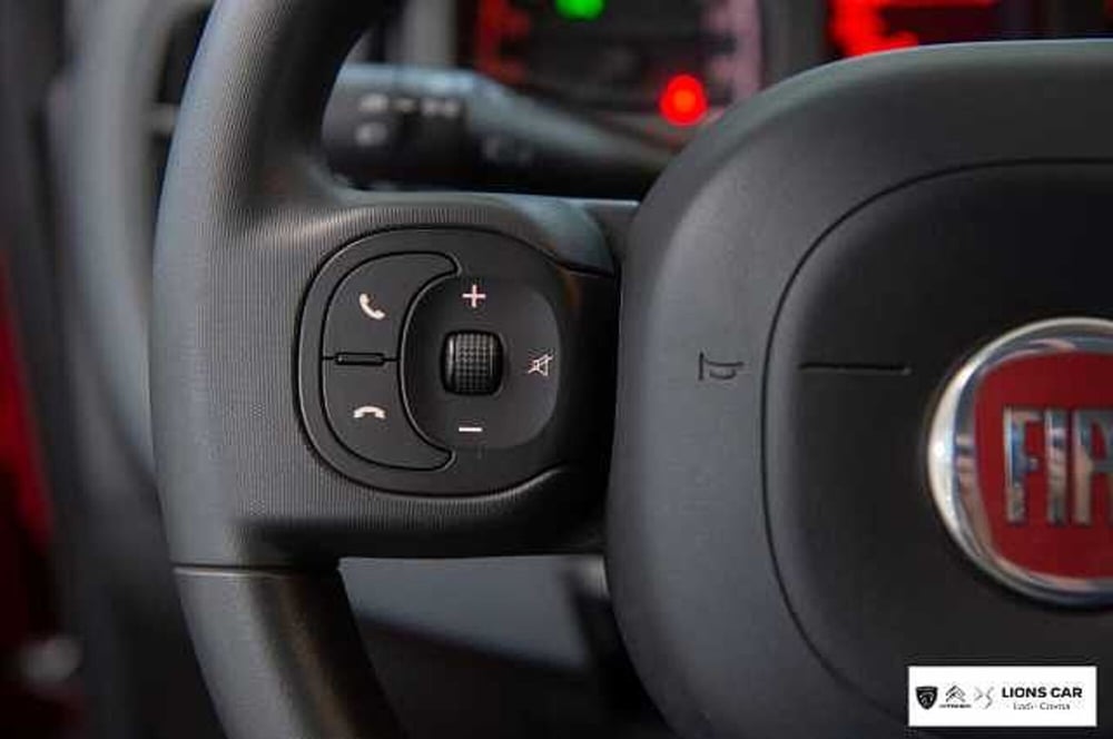 Fiat Panda Cross usata a Lodi (14)