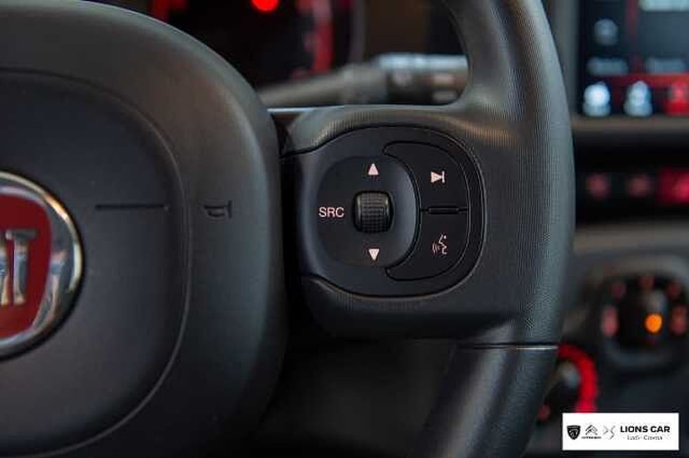Fiat Panda Cross usata a Lodi (15)