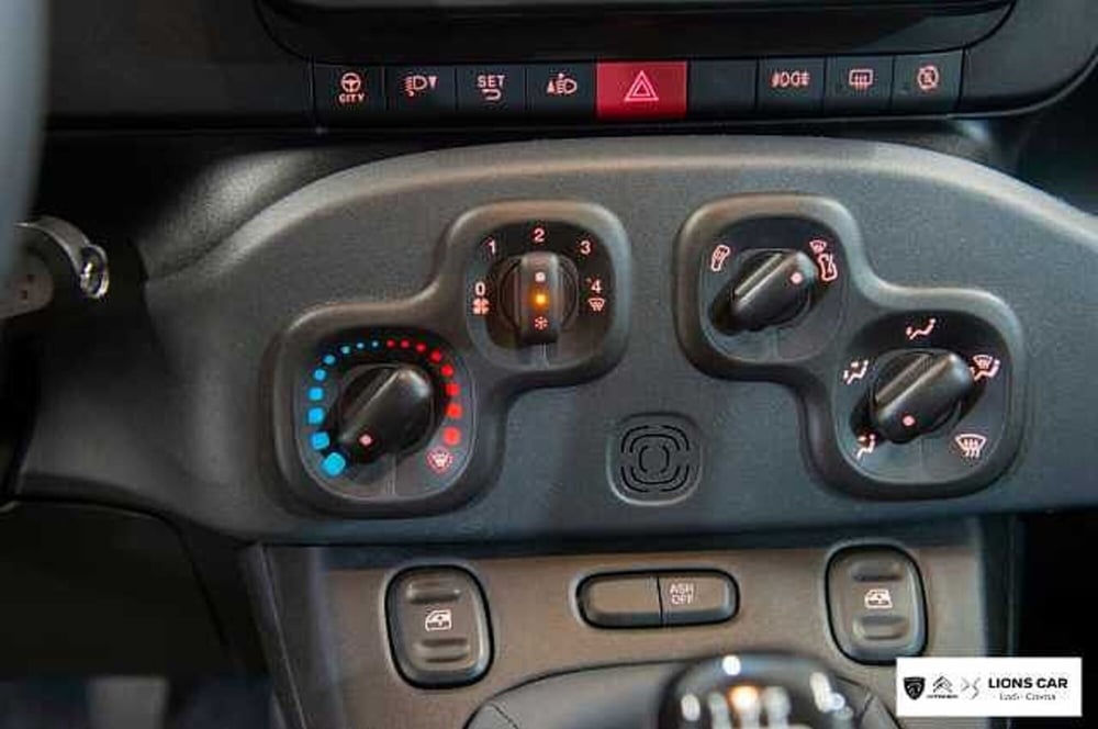 Fiat Panda Cross usata a Lodi (19)
