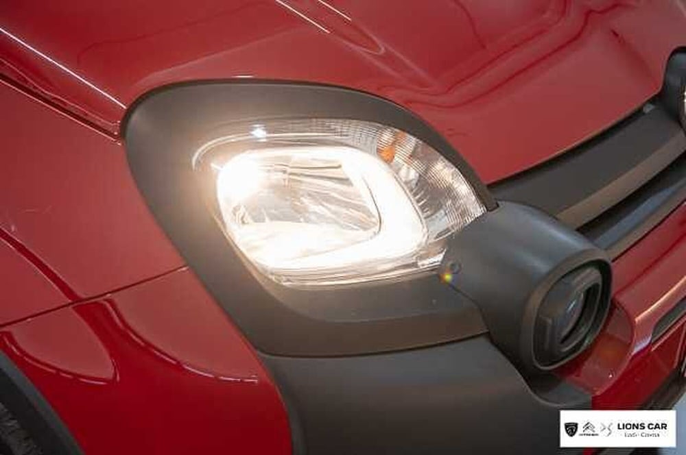 Fiat Panda Cross usata a Lodi (8)