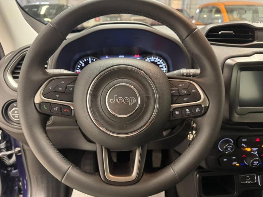 Jeep Renegade usata a Biella (12)