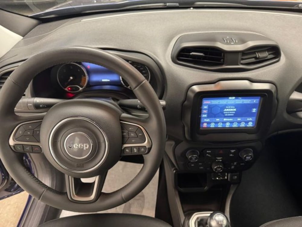 Jeep Renegade usata a Biella (16)