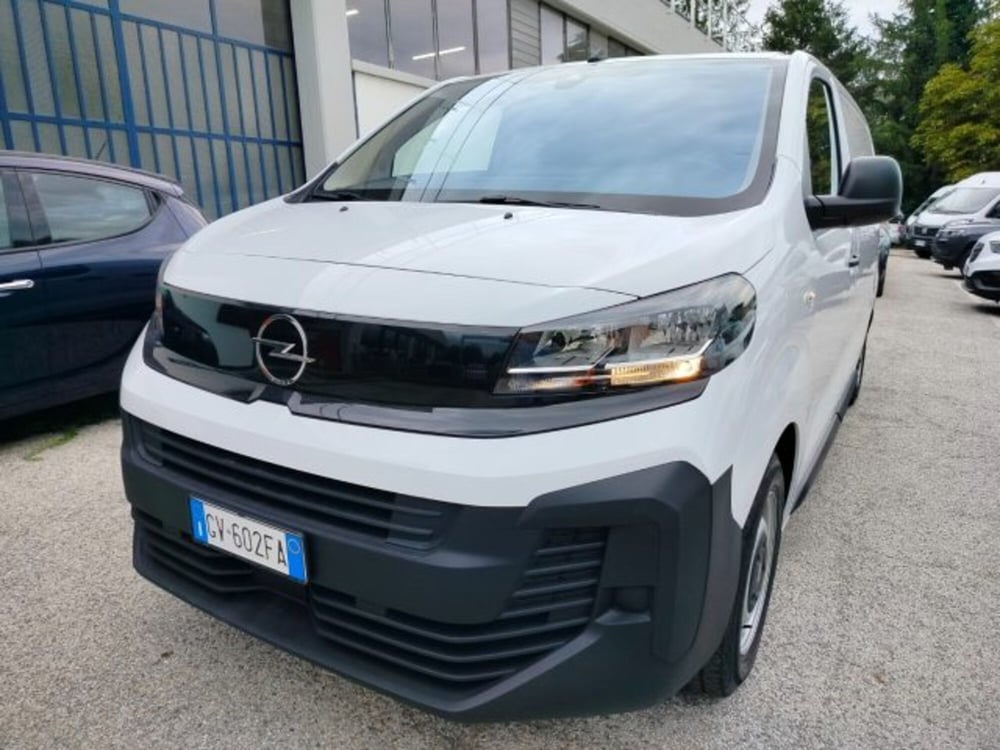 Opel Vivaro Furgone usata a Forlì-Cesena (5)