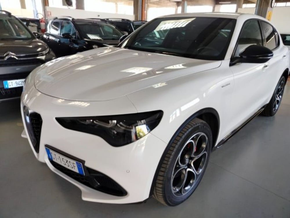 Alfa Romeo Stelvio usata a Forlì-Cesena (15)