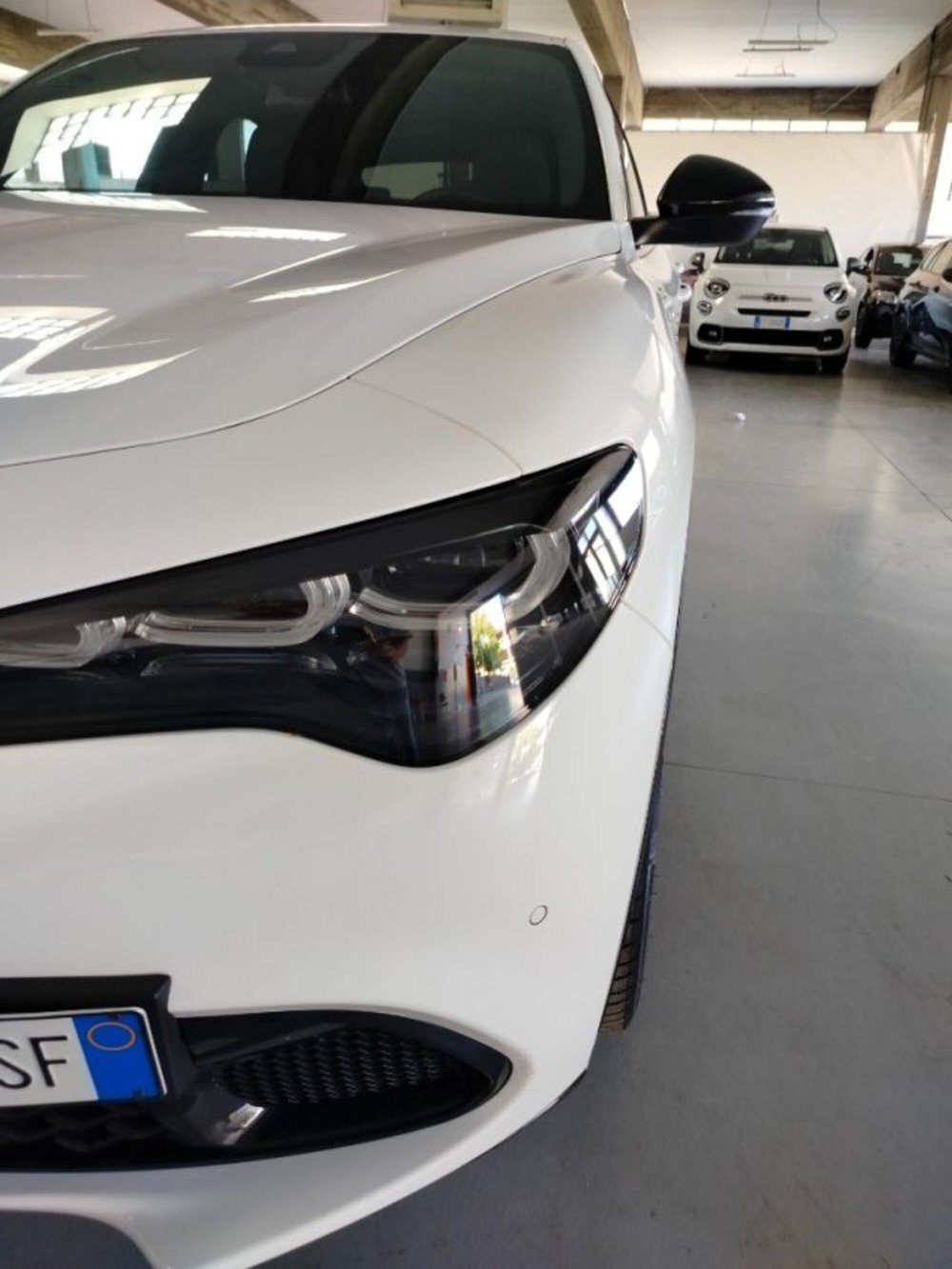 Alfa Romeo Stelvio usata a Forlì-Cesena (16)
