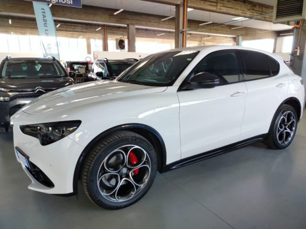 Alfa Romeo Stelvio usata a Forlì-Cesena (4)