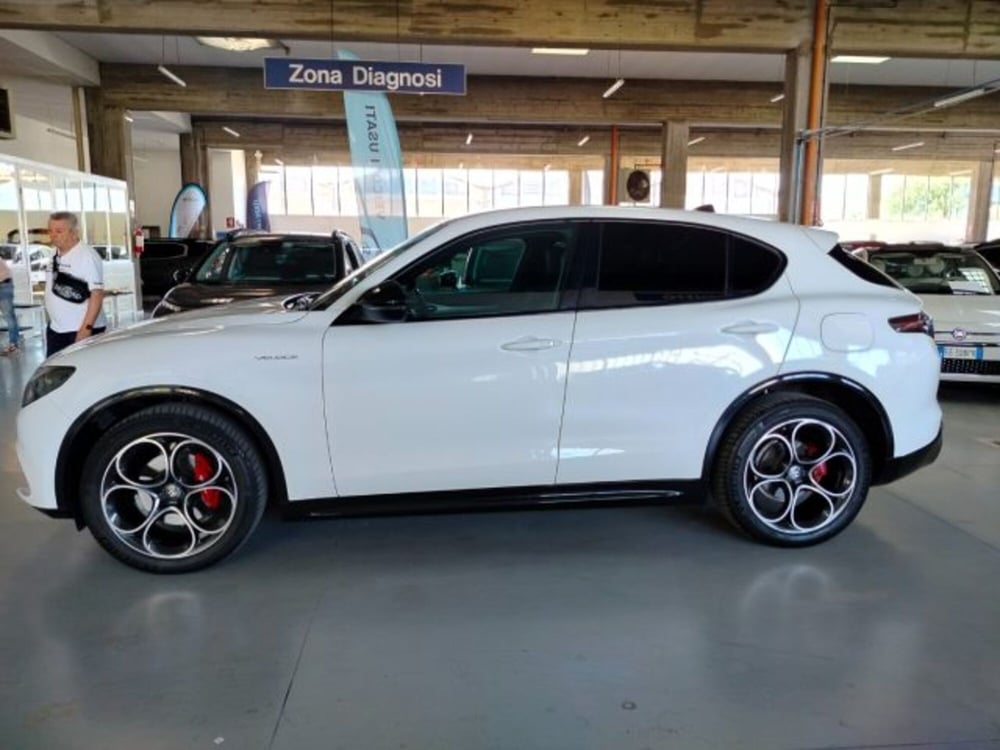 Alfa Romeo Stelvio usata a Forlì-Cesena (6)