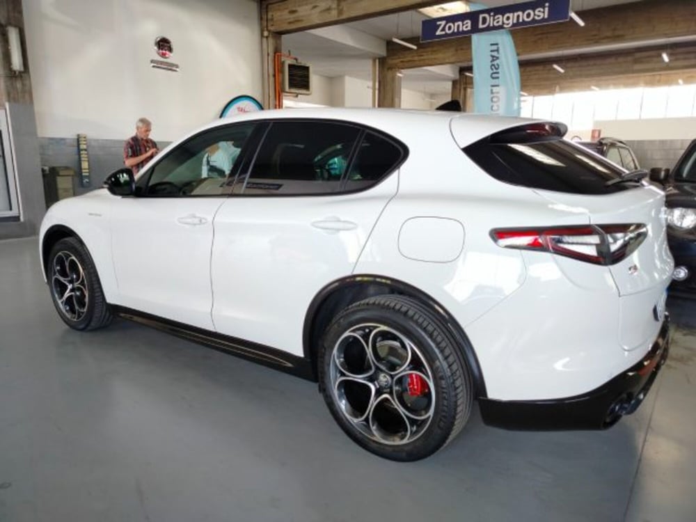 Alfa Romeo Stelvio usata a Forlì-Cesena (7)