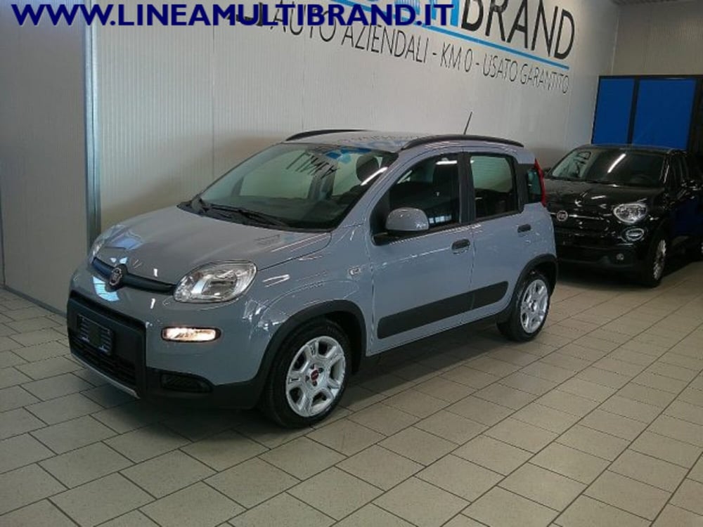 Fiat Panda Cross usata a Piacenza (10)
