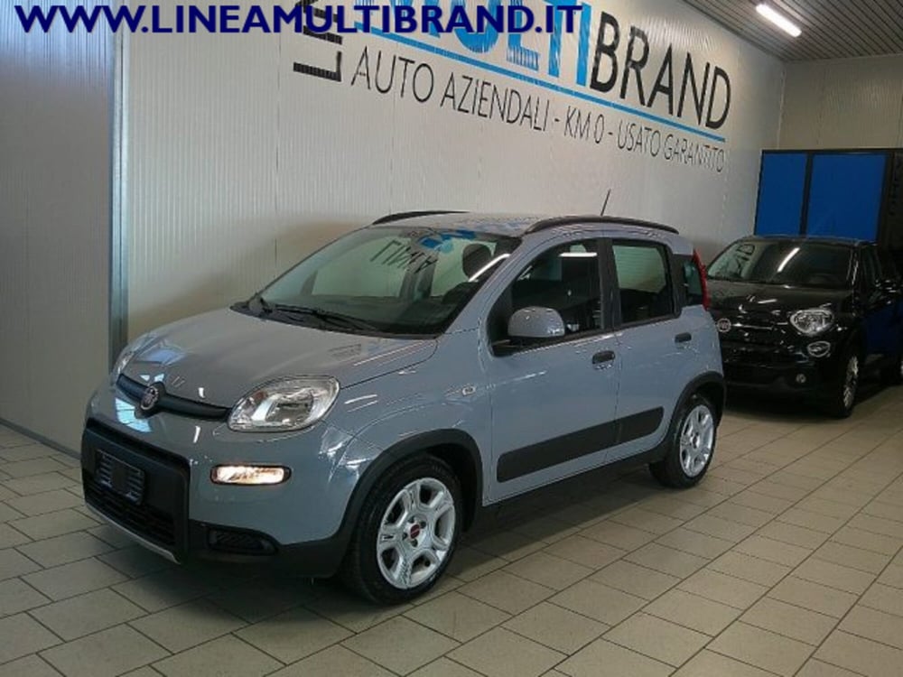 Fiat Panda Cross usata a Piacenza (2)