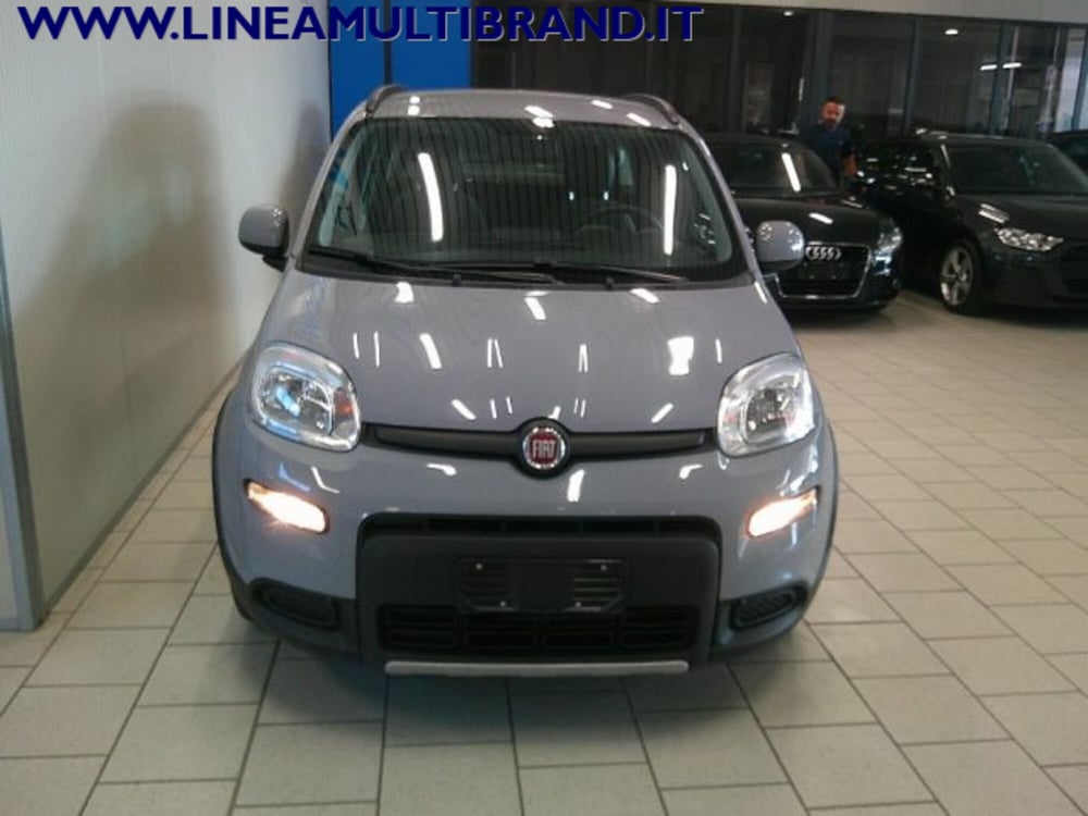 Fiat Panda Cross usata a Piacenza (3)