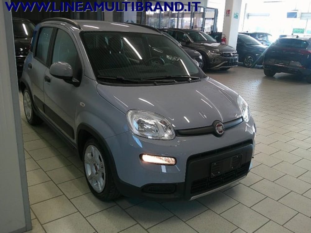 Fiat Panda Cross usata a Piacenza (4)
