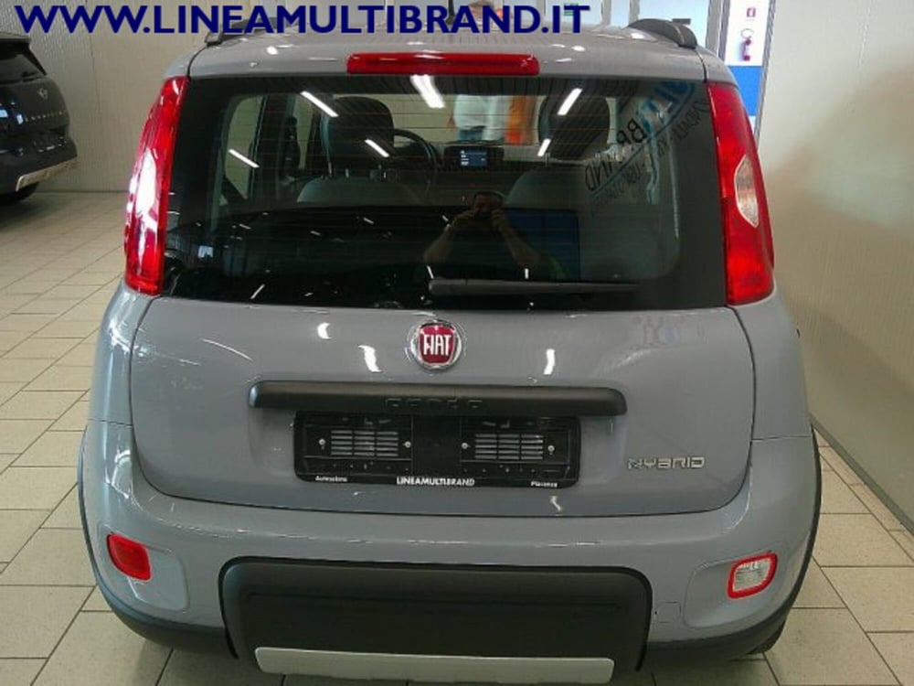 Fiat Panda Cross usata a Piacenza (5)
